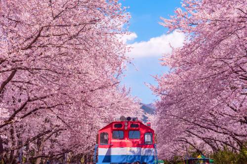 Jinhae